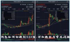 小狐钱包如何切换到BSC链：详细教程与常见问题
