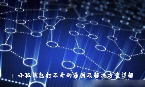 : 小狐钱包打不开的原因及解决方案详解