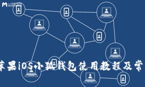 全面解析：苹果iOS小狐钱包使用教程及常见问题解答