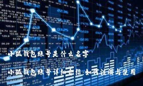 小狐钱包账号是什么名字

小狐钱包账号详细介绍：如何注册与使用