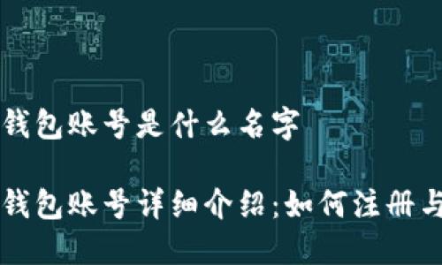小狐钱包账号是什么名字

小狐钱包账号详细介绍：如何注册与使用