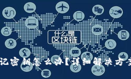 手机小狐钱包忘记密钥怎么办？详细解决方案与常见问题解答