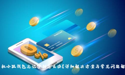 手机小狐钱包忘记密钥怎么办？详细解决方案与常见问题解答