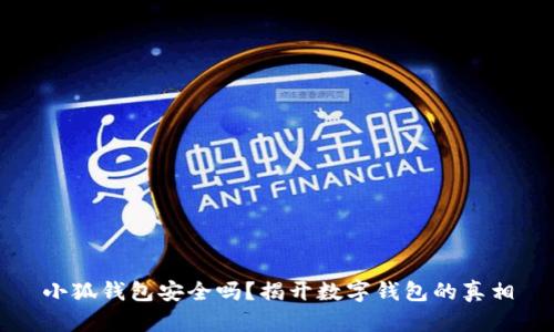 小狐钱包安全吗？揭开数字钱包的真相