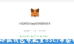 如何在小狐钱包中配置BSC（币安智能链）