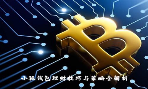 小狐钱包理财技巧与策略全解析