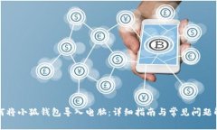 如何将小狐钱包导入电脑：详细指南与常见问题