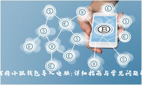 如何将小狐钱包导入电脑：详细指南与常见问题解答