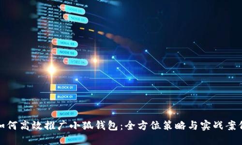如何高效推广小狐钱包：全方位策略与实战案例
