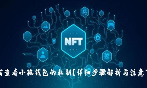 如何查看小狐钱包的私钥？详细步骤解析与注意事项