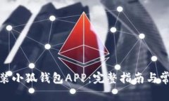 和关键词如何下载安装小狐钱包APP：完整指南与