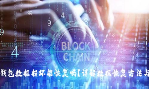 小狐钱包数据损坏能恢复吗？详解数据恢复方法与技巧