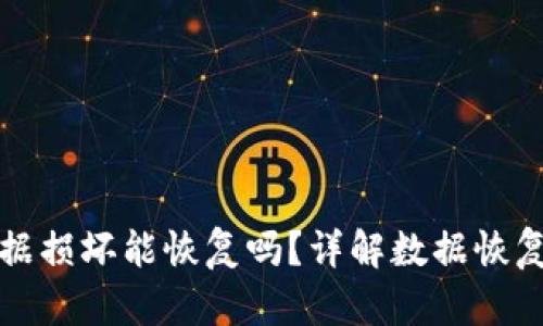 小狐钱包数据损坏能恢复吗？详解数据恢复方法与技巧