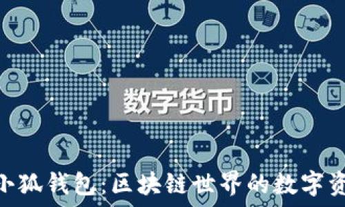   
MetaMask小狐钱包：区块链世界的数字资产管理利器
