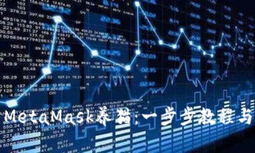 如何使用MetaMask养猫：一步步教程与心得分享