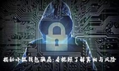 揭秘小狐钱包骗局：看视频了解真相与风险