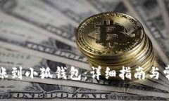 如何顺利转账到小狐钱包：详细指南与常见问题
