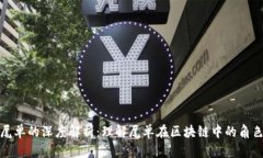区块链尾单的深度解析：理解尾单在区块链中的
