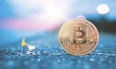 小狐钱包合约设置全攻略：简单易懂的实用指南