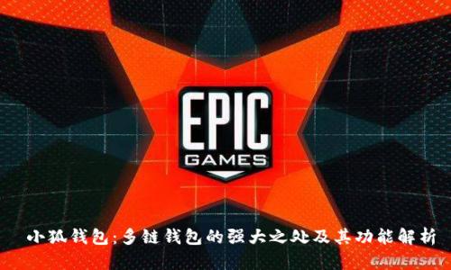  小狐钱包：多链钱包的强大之处及其功能解析