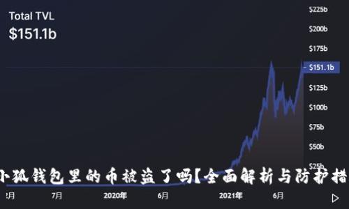  小狐钱包里的币被盗了吗？全面解析与防护措施