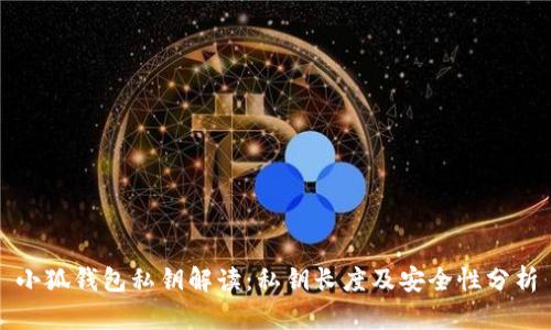 小狐钱包私钥解读：私钥长度及安全性分析