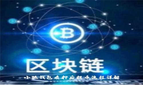小狐钱包质押后提币流程详解