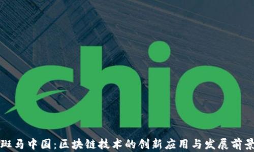 
斑马中国：区块链技术的创新应用与发展前景