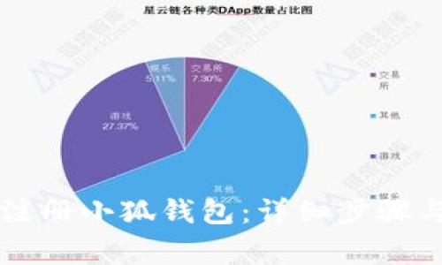 国内如何注册小狐钱包：详细步骤与注意事项